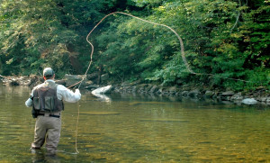 Fly Fishing Basic