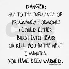 The Sorrow, I Mean Joy of Being Pregnant (Part-1)