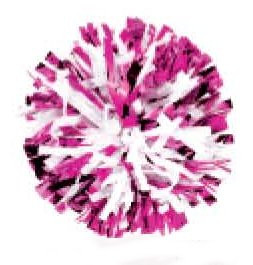 Cheerleading Pom Poms...