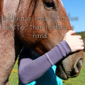 horse is the best friend a girl could ask for