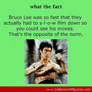 Bruce Lee Sayings Quotes And About Himself Movies -