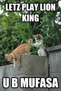 lionking funny pictures