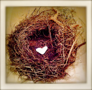 empty nest, full heart