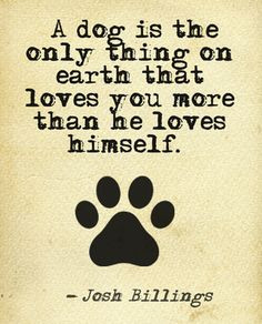 Dog Quotes