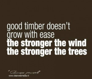 Practice quote #5