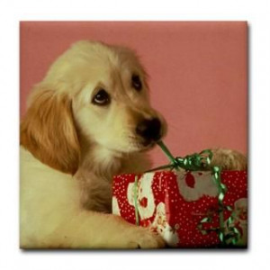 161687546_funny-golden-retriever-gifts-merchandise-funny-golden-.jpg