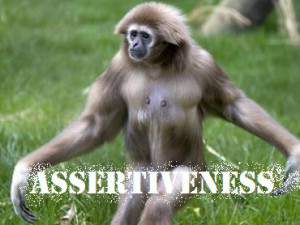 An Intro to Assertiveness: