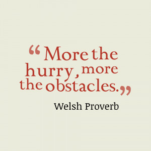 More-the-hurry-more-the__quotes-by-Welsh-Proverb-15