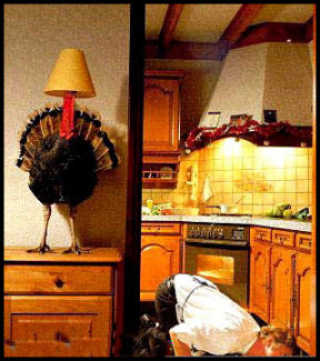 Where's the turkey?