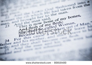... American Standard Bible About Adam And Eve And Creation - stock photo