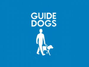 Funny Quotes Contact Us DMCA Notice