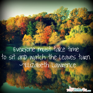Quotes About Fall