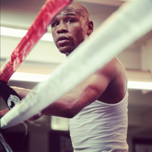 Hard Work Dedication Mayweather Quote http://www.tumblr.com/tagged ...