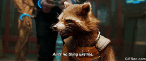 GIF: Guardians of the Galaxy – Rocket Raccoon