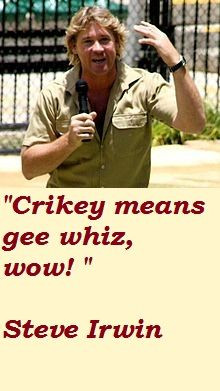 crikey more life quotes steve irwin miss irwin quotes ripped steve ...