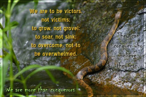 Found on Uploaded by user