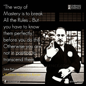 Karate Quotes Shorinjiryu karate quotes