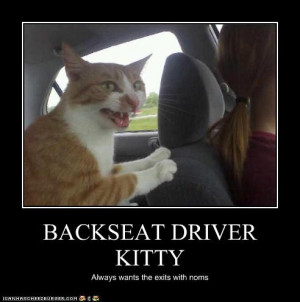 BACKSEAT DRIVER