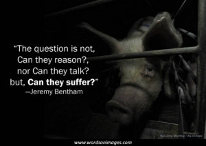 278290-Jeremy+bentham+quotes++++.jpg