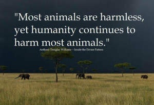 Animal Quotes, Animal Abusive, Animal Euthanasia, All Animal, Animal ...