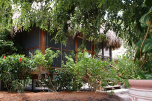 Home Destinations Belize Turtle Inn Rooms And Suites Garden View ...