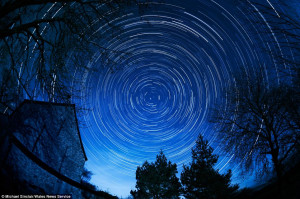 long anarkali frocks 2013 , ivysaur use vine whip ,