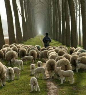 John 10:27 My sheep listen to my voice; I know them, and they follow ...
