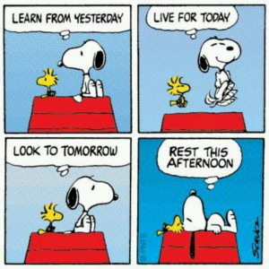 Good advice from Snoopy.