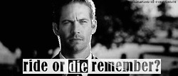 ... fast and furious ride or die b&w gif never forgotten gone to soon f&f