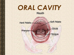 Oral Cavity Pdf
