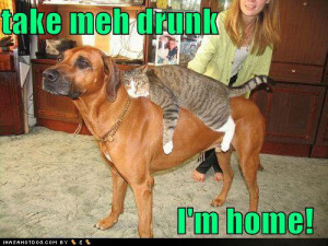 Funny pics- Girls- Boys Drunk -funny drunk