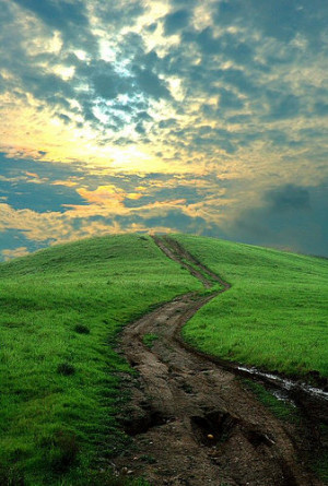 there s a path you can walk that leads to peace a path that leads to ...