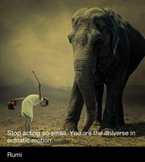 Elephant rumi wise quote
