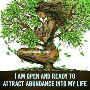 Attract abundance quote