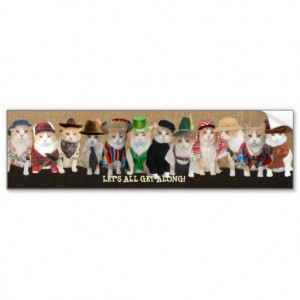 Let's All Get Along Funny Cats Bumper Sticker
