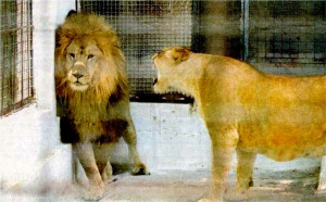 Doesnt actually meet. Barneys half sister is seen season finale that