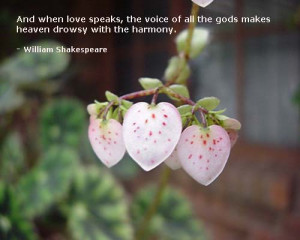 Shakespeare Romantic Quotes For Her For Him For Girlfriend And Sayings ...