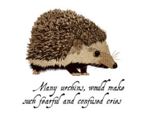 Urchin - Hedgehog - Hedge Hog - Nur sery Art - Wall Art - 8x8 Fine Art ...