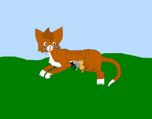 Warrior Cats Leafpool Credited