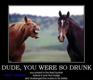 Thursday Funny - cos I need one! :)