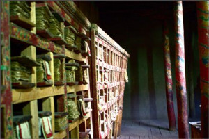 The collected teachings of the Buddha are called 