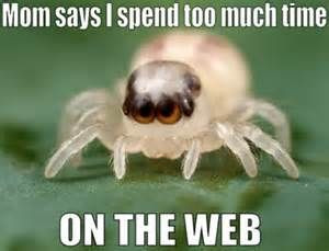 Spider Quotes and Sayings - Bing Images