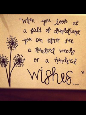 Already have an account? Log in now