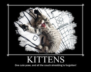 Funny Videos, Pictures, Demotivational Posters, Animals,