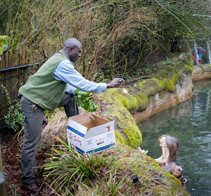 Biology and Management of Zoo Animals