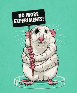 No more experiments. - against-animal-testing Photo