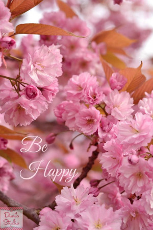 Pink spring flower photo, be happy quote, bokeh, cherry blossoms ...