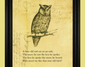 True Wise Sayings From The Old Owl