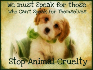 Stop animal cruelty | cute animals