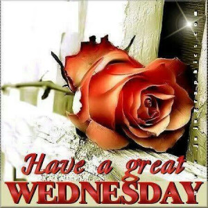 Have a great Wednesday. ..